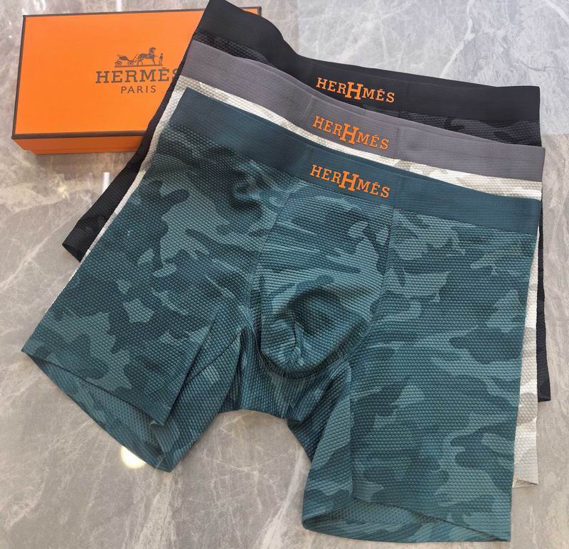 Hermes boxer L-4XL 04